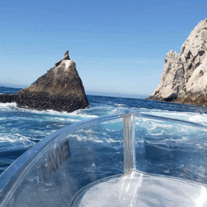 BARCO CON FONDO DE CRISTAL (CON TRANSPORTACIÓN DESDE HOTEL)