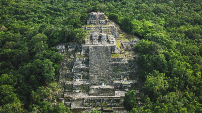 RESERVA DE LA BIOSFERA DE CALAKMUL DESDE CHETUMAL o BACALAR