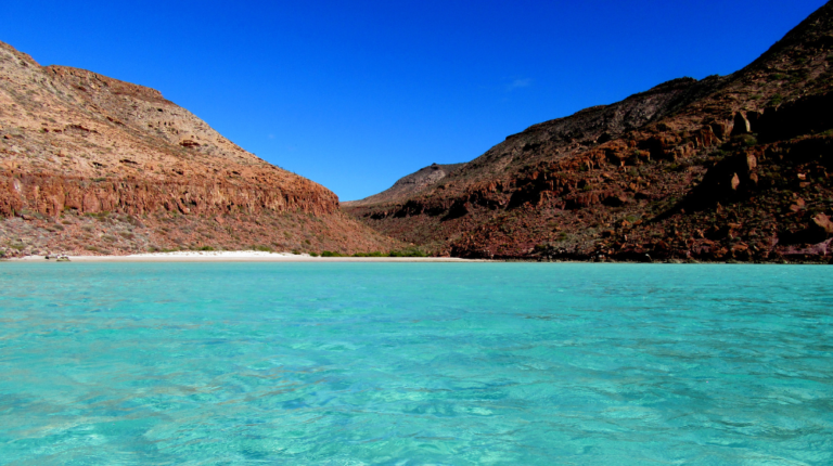 ISLA DEL ESPIRITU SANTO DESDE LOS CABOS