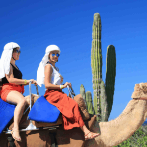 SAFARI EN CAMELLO POR EL DESIERTO