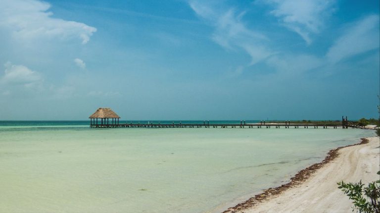 MAYAS AL MÁXIMO CON TIBURÓN BALLENA “QUINTANA ROO, YUCATÁN, CAMPECHE, CHIAPAS”