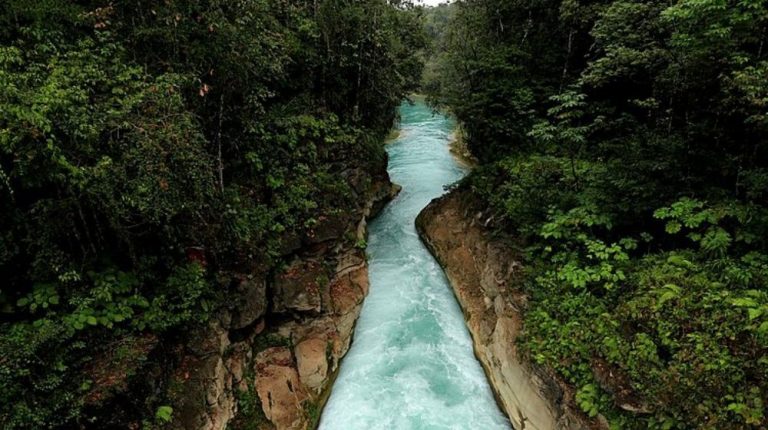 CHIAPAS ESPECIAL