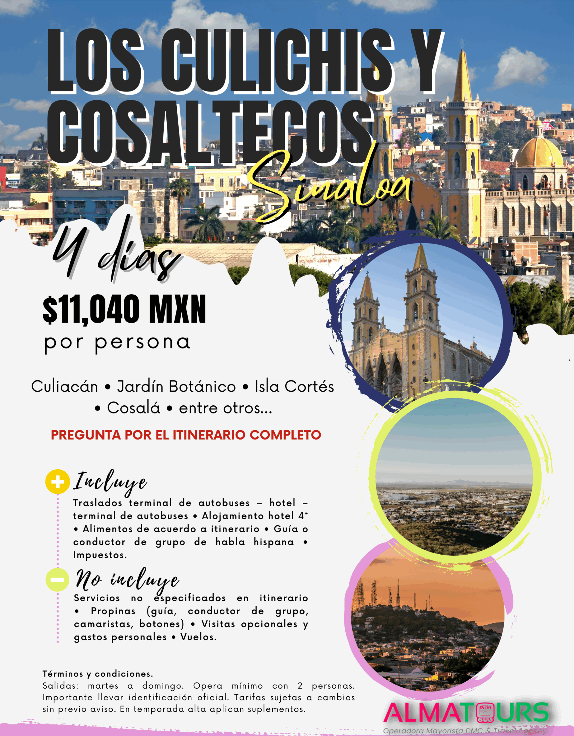 Los Culichis y Cosaltecos, Sinaloa